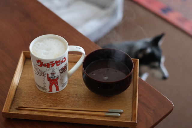 C9C7E1BD-3BF3-42B2-B79C-1448B3CBC6C8_1_105_c