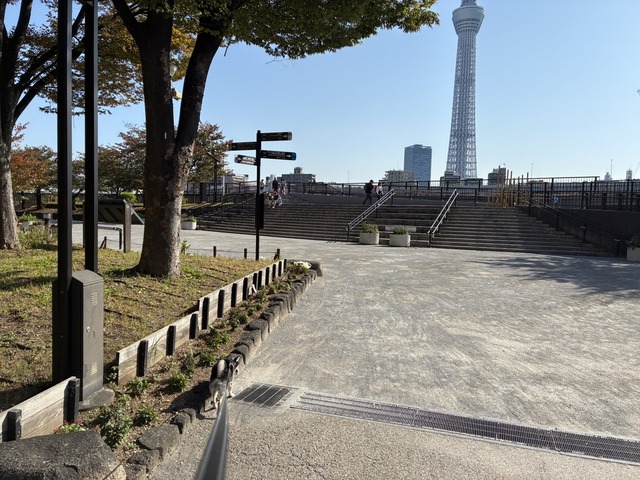 2C02D68B-CBC1-465A-9F6E-4F42ABCAAFFF_1_105_c