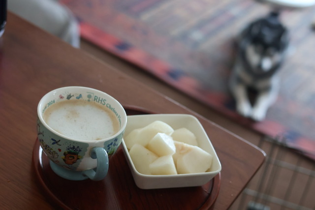 1C942FDD-07CC-4F5C-A3FF-C3E3C87792A8