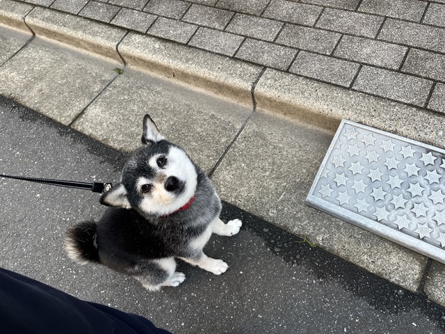 7F4BD1F0-6767-4125-B6BB-B1E49D58E8A5_1_105_c