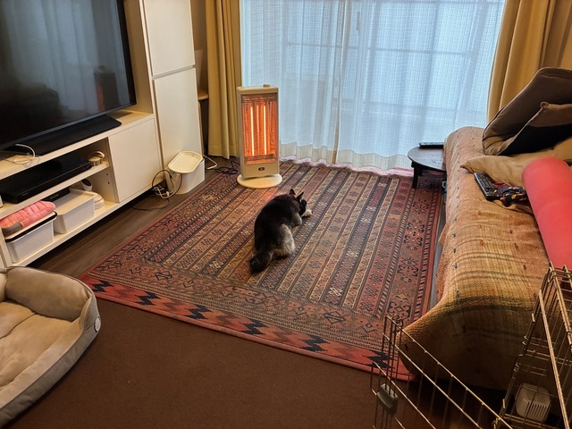 7258C5F7-E020-4003-B803-5FC9BCD2A89C_1_105_c