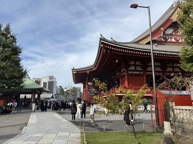 71D20B09-66E4-4AC5-A595-2C0622E43B38_1_105_c