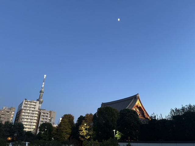 D49EADE2-86D1-4232-862B-05C708A9470D_1_102_o