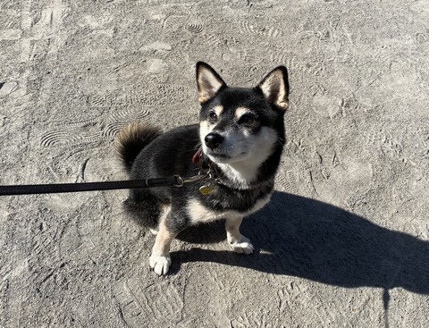 1EC4CB19-1981-442C-A814-C28D5F74BFA2