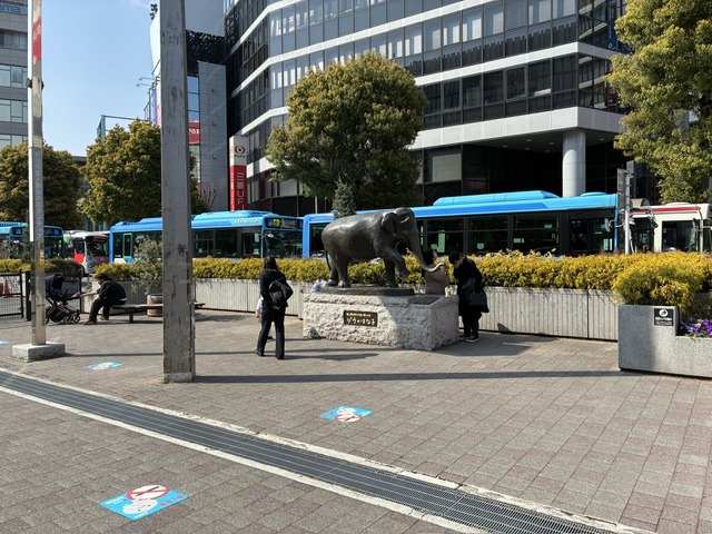 D5D537C6-54EE-49C1-8FF3-E948D980B770_1_105_c