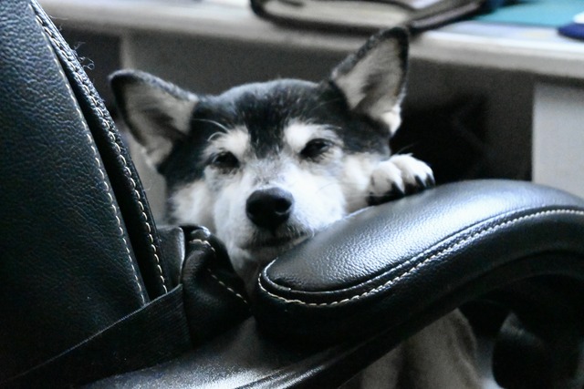 年の瀬の富士そばと命のスープ