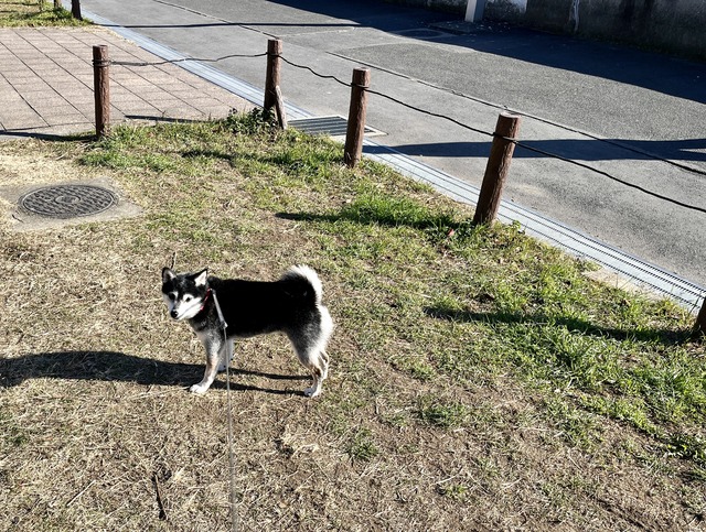 99887522-8BC8-4A3A-8F2E-4C93DDA43783_1_201_a