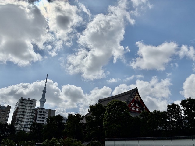 83E8C961-4944-43CF-B8F8-F3B8599BA2FA_1_105_c