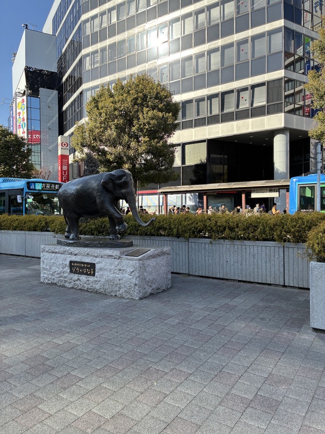 292EC260-0BBA-4FE1-A938-C8EFE1F2AFE9_1_102_o