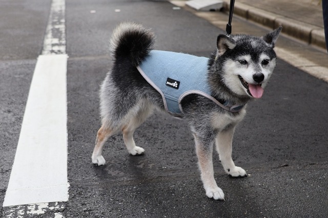 9701219A-69B2-4B97-BFAD-6FD78E8CACF7_1_105_c