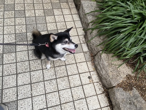 B1CB3F90-33DE-482C-A83A-4A9AABFC3691_1_105_c