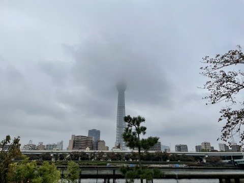 29545EAC-32C6-4FE7-A6D6-F41103164BCF_1_105_c