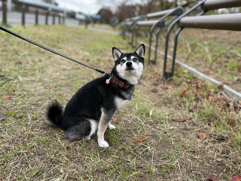 E0DE7A29-123D-43AA-80A9-5F4667DDFC3A_1_105_c