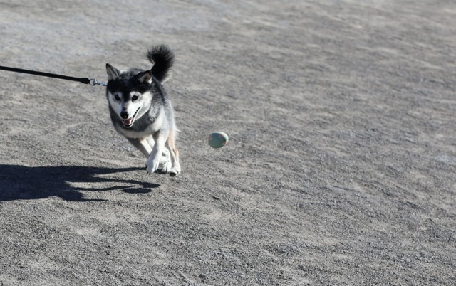 0DA81371-AE26-4CDD-B1FE-C53D783D9742_1_201_a