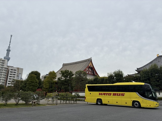 47367972-170D-4F0C-9C42-94A4C109104A_1_102_o