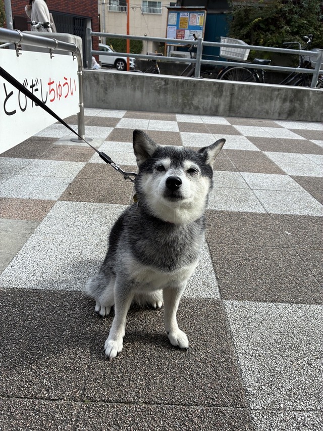 9FC5808A-3435-4077-8CBE-700A36CD2750_1_105_c