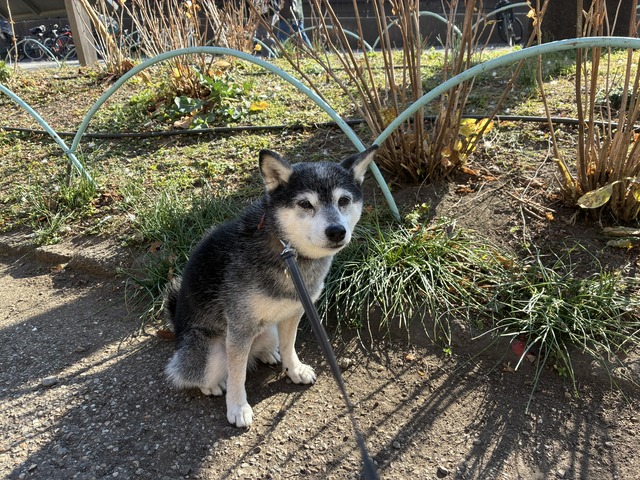 61307C9D-A026-4E39-9A86-1BA8AF4BE73D_1_102_o