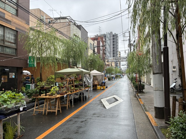 1A1FD601-60DB-4940-A0B6-990BB7C43726_1_102_o