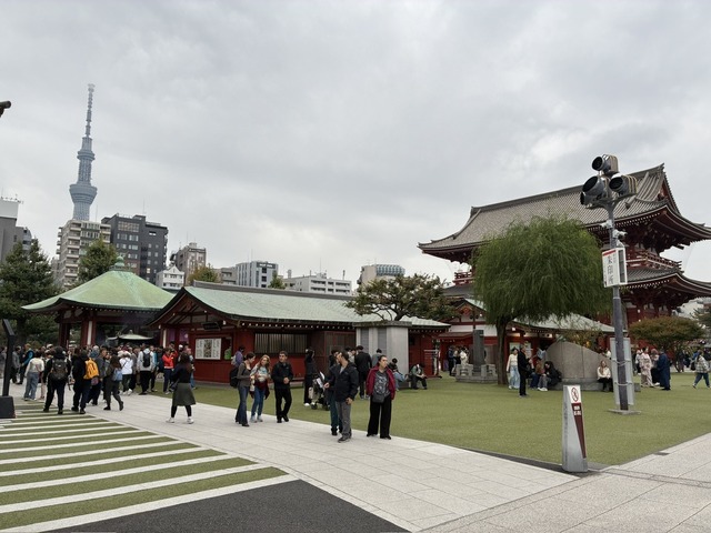 B3C59010-6DEF-4944-AEC3-BA02F31AA8D2_1_105_c