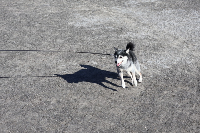 1A0E9B06-1303-4029-88BB-BAE4418595DB