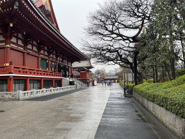 FE055CF4-8297-409E-AE99-B927B39D2C1D_1_105_c