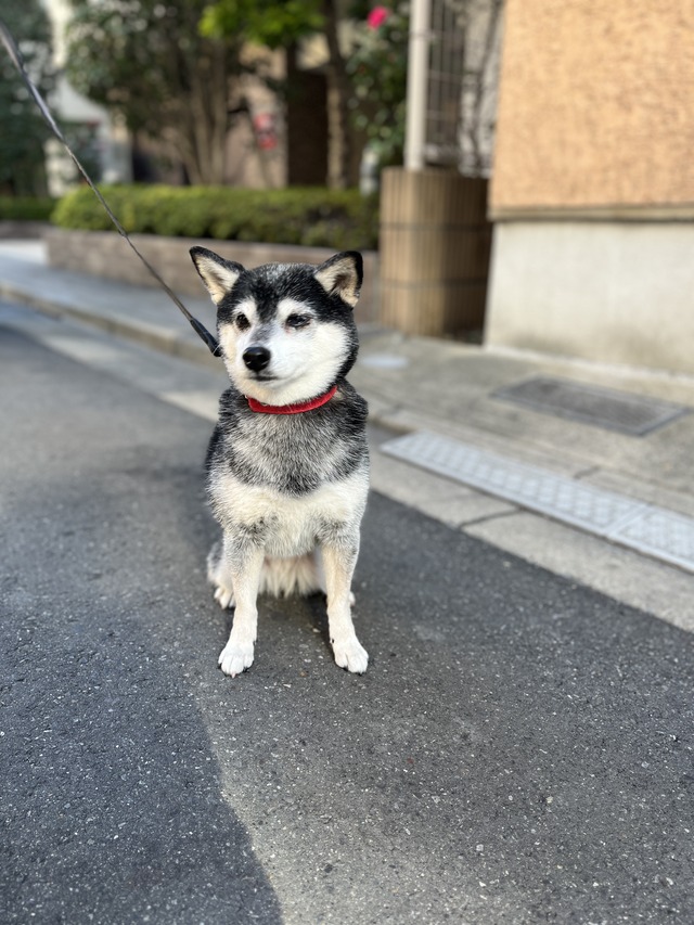 B8FDC300-3A6B-4F9B-85B6-4E43122A6100_1_201_a