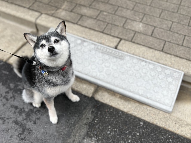 春雨の長崎ちゃんぽんとチキンブロッコリー