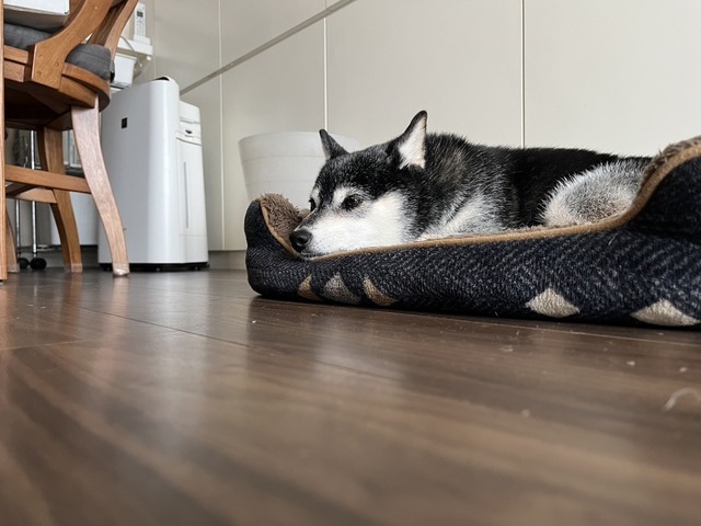 EFF889BB-A1ED-4AD2-AD06-FE17E7C0E983_1_105_c