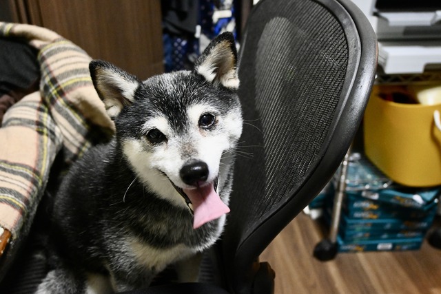 E6E6B2BA-3013-4C46-97DE-EEEBD6407CC2_1_201_a