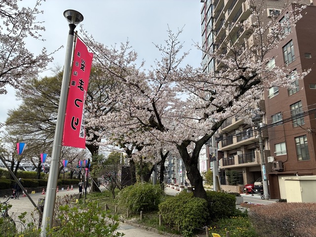 AB320AA6-25CD-40EE-99B9-B623EC64A6CF_1_105_c