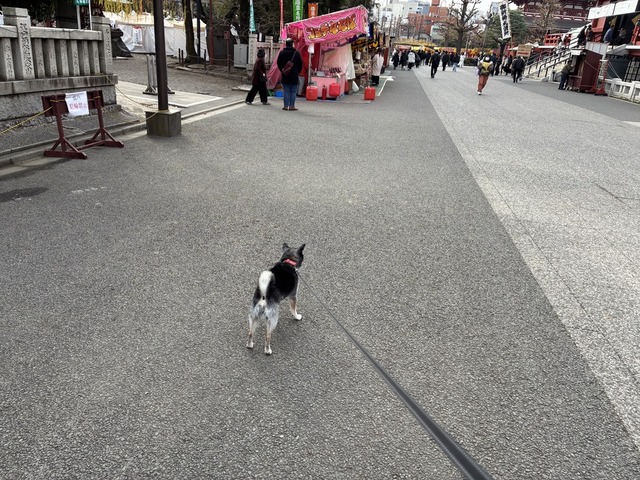 5048811A-C881-4D82-952A-AD4805E8C653_1_105_c