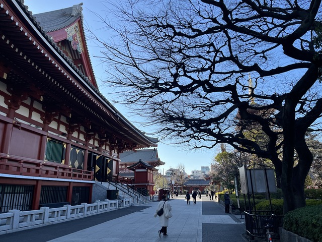 F12B08C8-39A0-4CB1-8256-D89326996A7C