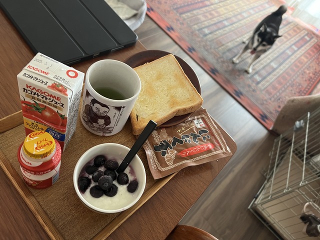 3B5282BA-452A-455A-923A-357A5C6590B3_1_201_a