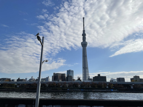 B161A497-F532-40A7-9857-DD0B997676BD_1_105_c