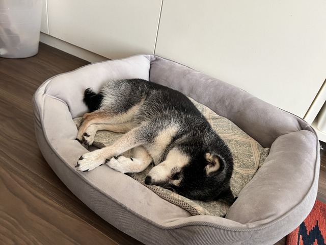 0DC14DE5-3F12-49BA-A6D4-B3023009A470_1_105_c