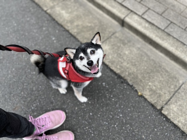 D06D8623-0B15-4197-97CB-A61F9B2A28C1_1_105_c