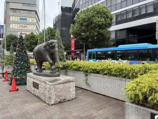 2D2A8C6C-C87F-4578-970C-3B5E2E5CDD20_1_105_c