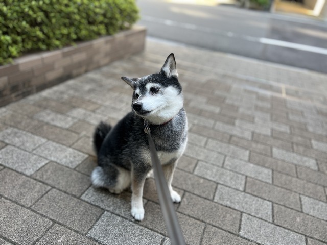 504F440E-7324-4422-ADEA-76EAFAFE5FB6_1_105_c