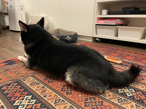 3FC70D79-B09D-4CB0-A281-AC987F288509_1_105_c