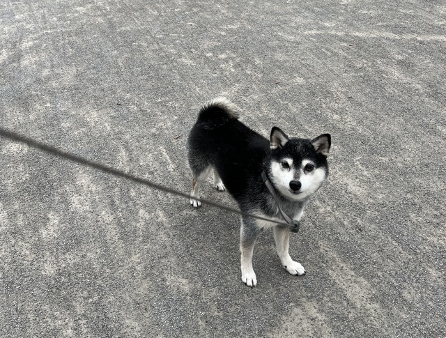 節分の恵方巻きと圧巻の「STOP MAKING SENSE」