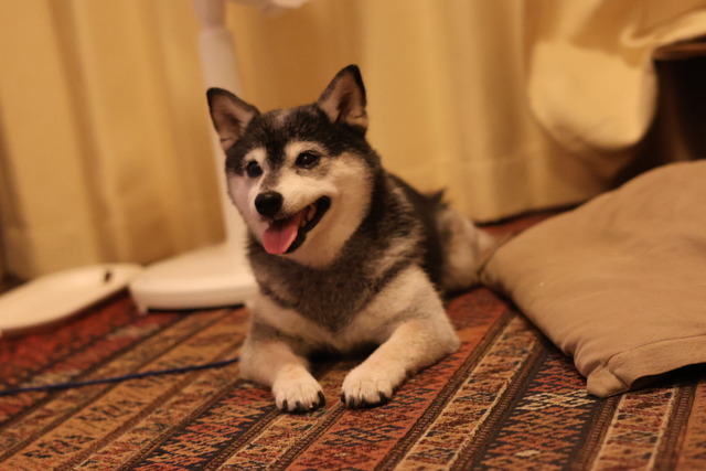 BC644096-ECC6-4FC7-9A38-B01C7EFF088D_1_105_c