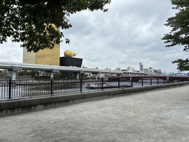 213EC22D-FABF-4F60-B098-8F7EEEE63724_1_105_c