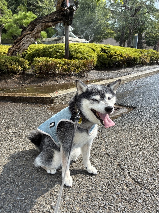 41B1D4B9-945C-472F-8622-B84AF2279EF3_1_105_c