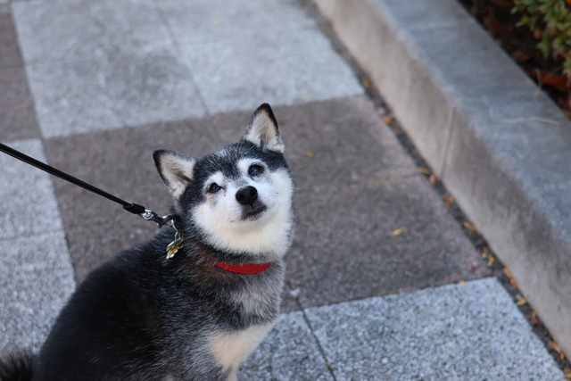 2B51FDF5-BC48-4665-8A06-41C40A0C8540