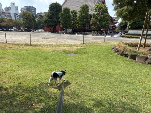 ECE04CDD-909A-4446-8E42-4D6A3C890CBB_1_105_c