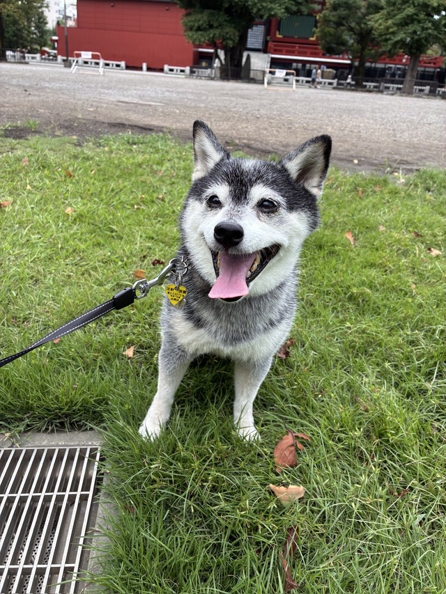 196497E0-FB88-4944-917E-F3731F23104C_1_105_c