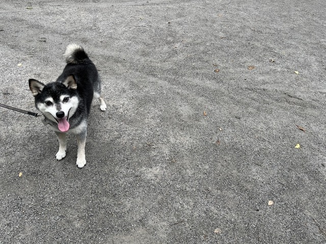 9AA314D8-07F0-458C-B30B-051B3AD8EE7F_1_105_c