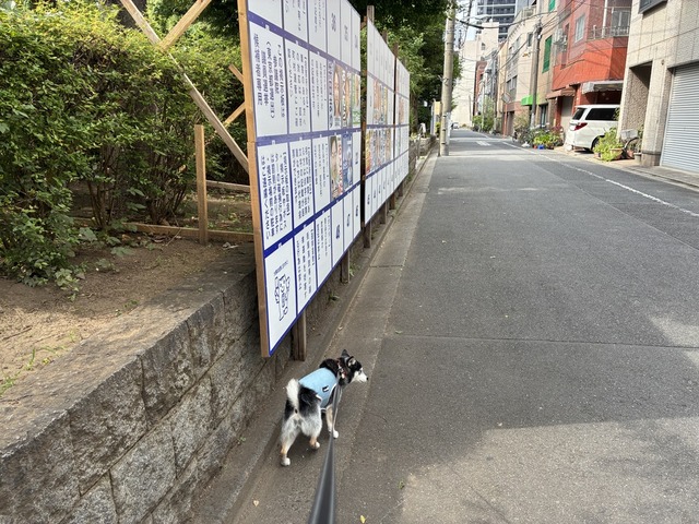 841A2F93-3443-489A-9AD3-752E0EB740D4_1_105_c