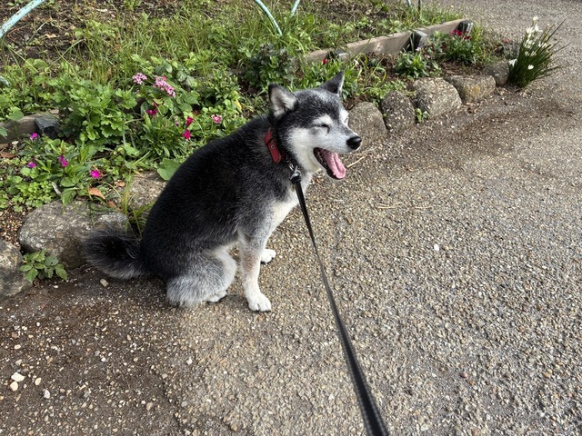 57EC06FD-5460-4136-A853-50223540F469_1_105_c