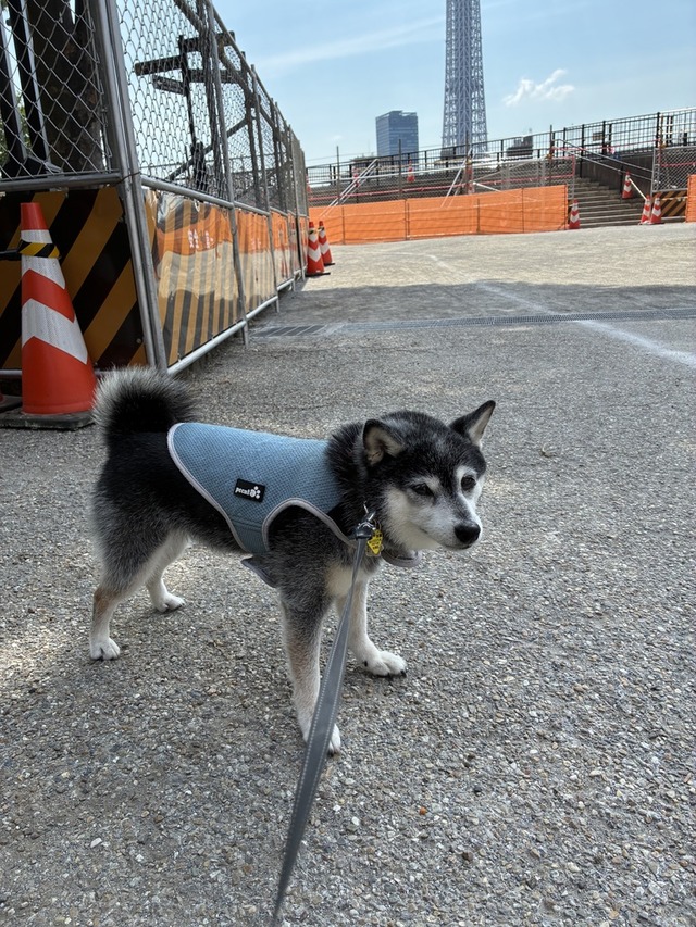 3062988A-13D1-4C23-A5EF-A1DF36739653_1_105_c